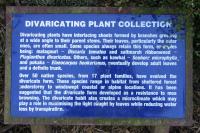 Albums/20060200-New Zealand 2006/20060314-Dunedin/31